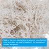 PATIKIL 1.8 OZ Fake Moss, Preserved Reindeer Moss Artificial Moss Lichen Centerpieces Decor Faux Moss for Potted Plants Christmas Craft, White view 4