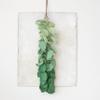 Creative Co-Op Hand-Painted Paper Mache Eucalyptus Bunch Wall Hanging, Green view 4