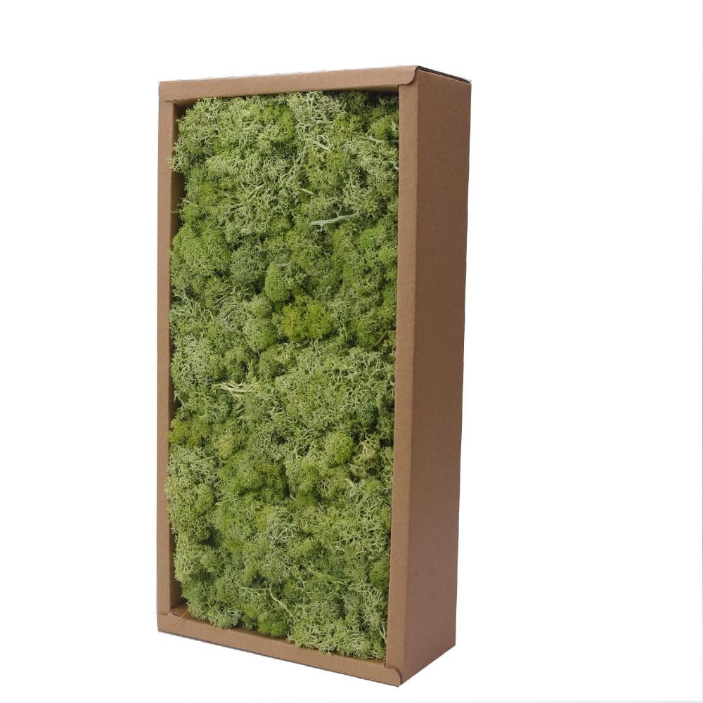Preserved Reindeer Craft Moss-17.6oz Natural Green DIY Kit Gardenning Art Wall Florist Moss Terrariums Gardenning Decor Landscape Garden Decor(Shallow Green 17.6 OZ)