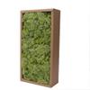 Preserved Reindeer Craft Moss-17.6oz Natural Green DIY Kit Gardenning Art Wall Florist Moss Terrariums Gardenning Decor Landscape Garden Decor(Shallow Green 17.6 OZ) view 1
