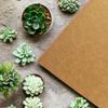 Brown Kraft Cardstock A4 Sheet 260 GSM Drawing, DIY Projects, Arts and Crafts, Scrapbooking, Letter Size (10 Sheet Pack) view 3