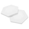 NUOBESTY 2pcs Irregular Creative Painting Board Hexagon Acrylic Drawing Panel Canvas Board for Student Artists and Enthusiasts view 1