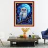 Dooxvey Cross Stitch Kits for Adults Stamped Full Range of Embroidery Starter Kits for Beginners 11CT Printed Cross Stitch Patterns Needlepoint Kits Stamped Crossstitch-Moon owl 16x20 inch view 2