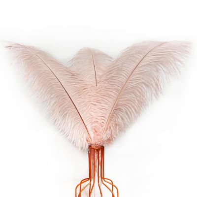 Happy Feather 16-18 inch Purple Ostrich Feathers Craft for Wedding Party centerpieces Home Decoration DIY Craft Pack of 10-Champagne