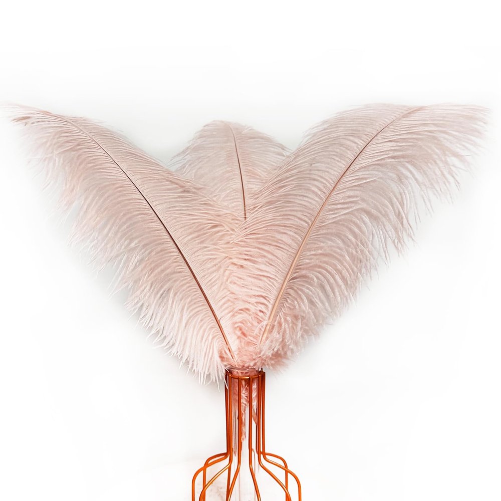 Happy Feather 16-18 inch Purple Ostrich Feathers Craft for Wedding Party centerpieces Home Decoration DIY Craft Pack of 10-Champagne