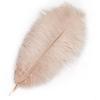 Happy Feather 16-18 inch Purple Ostrich Feathers Craft for Wedding Party centerpieces Home Decoration DIY Craft Pack of 10-Champagne view 2