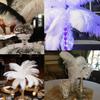Happy Feather 16-18 inch Purple Ostrich Feathers Craft for Wedding Party centerpieces Home Decoration DIY Craft Pack of 10-Champagne view 3