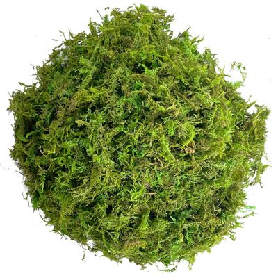Green Moss for Crafts Artificial Moss 8.82oz Decorative Moss for Potted Plant Faux Orchid Moss Potting Mix Soil Peat Sphagnum Moss Craft Arts Floral Wedding Decor Fairy Garden Terrariums Decoration