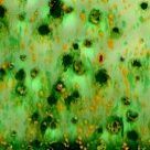 212 Main True Flow Non-Toxic Crystal Magic Glaze - 1 Pt. - Herb Garden