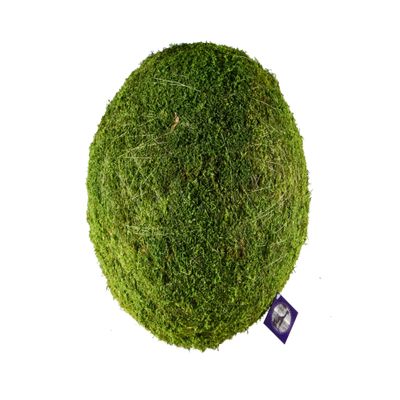 SuperMoss (21666 Moss Balls Preserved Decorative Moss Balls for Home Dcor, Vase Fillers, Centerpieces, Terrarium & Wedding Dcor, Natural Green Moss Dcor Balls, 10", Fresh Green