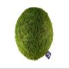 SuperMoss (21666 Moss Balls Preserved Decorative Moss Balls for Home Dcor, Vase Fillers, Centerpieces, Terrarium & Wedding Dcor, Natural Green Moss Dcor Balls, 10", Fresh Green view 1