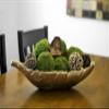 SuperMoss (21666 Moss Balls Preserved Decorative Moss Balls for Home Dcor, Vase Fillers, Centerpieces, Terrarium & Wedding Dcor, Natural Green Moss Dcor Balls, 10", Fresh Green view 2