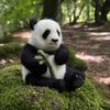 Bergin & Bath Needle Felting Kit, Panda. Make a Life-Like Panda with This Planet Friendly Craft kit for Adults and Teens. view 2