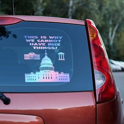 This is why we cannot have nice things Vinyl decal,truck decals, truck decals for men,car decals, car decals funny,decal stickers,decals for vehicles,van decals (9x9, Holographic Opal)