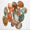NineTribe Basics 12pc - Polished Korean Abalone Seashells, Shell Artistry Craft Supplies, Sailors Valentines, Beach Decor, Jewelry Supply, Mosaics Craft Supply SS-427, Green, Creme and Brown view 1