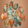 NineTribe Basics 12pc - Polished Korean Abalone Seashells, Shell Artistry Craft Supplies, Sailors Valentines, Beach Decor, Jewelry Supply, Mosaics Craft Supply SS-427, Green, Creme and Brown view 3