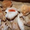 50pc Strombus Bulla Whole Seashell Craft Supplies, Sailors Valentines, Gift Basket Supply Beach Home Accents Shells SS-428 view 4