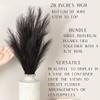 Factory Direct Craft Black Artificial Pampas Grass Bouquet - Fake Feather-Like Grass Bundle for Elegant Arrangements at Special Events to Everyday Home Decor (28 Inches High) view 4