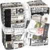 Moda Fabrics Sable & Swan Fat Quarter Bundle by Cathe Holden 7440AB view 1