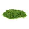 MECCANIXITY Static Grass, Nylon Artificial Grass Powder 3mm 2 x 30g Artificial Grass Fake Grass Tuft Model for Train Landscape Railway Sand Ground,Yellow Green, Pack of 2 view 1