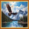 Dooxvey Cross Stitch Kits for Adult Beginners - Full Range of Stamped Kits, Needlepoint & Embroidery Kits - 11CT Cross Stitch Patterns - Eagle Mountain & River - 16x20 inch view 1