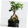 FUNOMOCYA 5pcs Simulated Moss Stones DIY Plant Wall Decor Fake Moss Rock Artificial Stone for Garden Plant Decor view 3