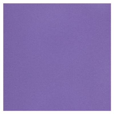 PA Paper Accents Muslin Cardstock 12" x 12" Purple Rain, 73lb colored cardstock paper for card making, scrapbooking, printing, quilling and crafts, 25 piece pack