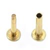 Cutlers Rivets in Brass .48 to .75 Long (10) view 1