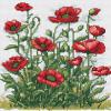 NineTribe Basics Poppy Flowers Cross Stitch Kits with Hoop for Beginners Stamped Cross-Stitch Supplies Needlework DIY 11CT 3 Strands Cotton Thread Printed DIY Needlepoint Kits 4050cm (CB174) view 1