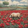 NineTribe Basics Poppy Field and Sheep Cross Stitch Kits for Beginners Pattern Stamped Cross-Stitch Supplies Needlework DIY 11CT 3 Strands Cotton Thread Printed DIY Needlepoint Kits 5050cm (CX67) view 1