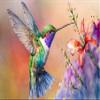 Scattered Hummingbird Fabric Panel - BHB-001, Panel Size is 24 X 16, Quality Quilting Cotton view 1
