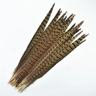 100Pcs/Lot Colored Natural Ringneck Pheasant Feathers 40-55Cm Wedding Party Decor Long Feather Natural 50-55cm 20-22inch