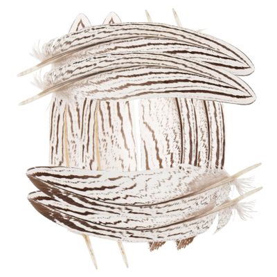 HOODANCOS 10pcs Natural Plumes for Crafts DIY Versatile Dream Catcher Making Supplies Durable Wild Chicken for Costumes Hair Accessories and Home Decor