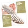 HOODANCOS 10pcs Natural Plumes for Crafts DIY Versatile Dream Catcher Making Supplies Durable Wild Chicken for Costumes Hair Accessories and Home Decor view 2
