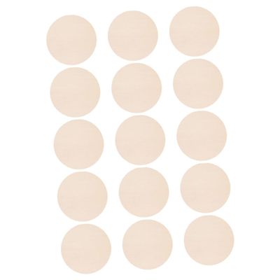 NUOBESTY 24pcs Unfinished Wood Slices for DIY Crafts Smooth Blank Wooden Cutouts for Painting Writing and Home Decorations for Garden Signs and Creative Projects