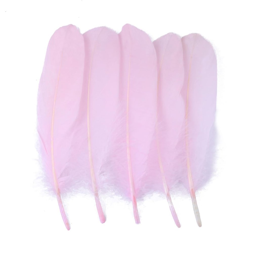 Queenbox 100PCS 6-8in Colorful Goose Feather, DIY Handmade Craft Bulk Feather for Wedding Party Cloth Dream Catcher, Light Pink