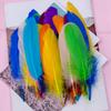 Queenbox 100PCS 6-8in Colorful Goose Feather, DIY Handmade Craft Bulk Feather for Wedding Party Cloth Dream Catcher, Light Pink view 3