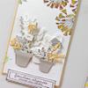 Ammsochy Cutting Dies Kit English Words Metal Stencils Scrapbooking Tools DIY Craft Embossing Template for Paper Card Making Album Arts Supplies (Potted Plant Combination Set-9.6x9cm) view 2