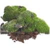 BESTonZON Create Natural Scenery 50g Table Bark Models Material DIY Kit for Model Landscape Realistic Barks for Miniature Garden Decor view 2
