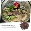 BESTonZON Create Natural Scenery 50g Table Bark Models Material DIY Kit for Model Landscape Realistic Barks for Miniature Garden Decor view 3