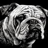 DIY Diamond Art Painting by Numbers Black and White Bulldog Illustration Full Round Drill Diamond Mosaic Crystal Rhinestone Arts and Craft for Home Wall Decor 40x50cm(gr186) view 1