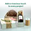 500 Yard Premium Matte Raffia Ribbon - 100% Rayon, Biodegradable, Colorfast - Perfect for Floral Arrangements, Gift Packaging, Crafts & More. 1/4 Wide (Emerald) view 3
