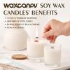 Soy Wax, Waxcanpy Natural Soy Wax for Candle Making, Organic Candle Wax from Farm, No Additives, Harmless and Pure (20lb) view 4