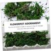 HOODANCOS Moss for Outdoor Planters Balls Decorative Artificial Non-Watering Easy to Use view 2