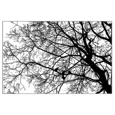 Acahhotxx Tree Background DIY Silicone Clear Stamp Cling Seal Scrapbook Embossing Album Decor Clear Stamp Block Large