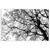 Acahhotxx Tree Background DIY Silicone Clear Stamp Cling Seal Scrapbook Embossing Album Decor Clear Stamp Block Large view 1