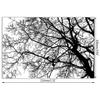 Acahhotxx Tree Background DIY Silicone Clear Stamp Cling Seal Scrapbook Embossing Album Decor Clear Stamp Block Large view 3