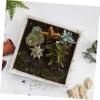 Operitacx 16pcs Decorative Mossy Stones Realistic Faux Props for Terrariums and Decor Lightweight -Themed Ornaments No Watering Needed view 3
