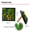 ACADOIT Moss ArtsFrame Crafts for Adults, 11" Home Office Decor Living Wall Hanging Decor view 3