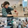 Dress Form Sewing Mannequin Torso Manikin Dress Form Female with Wheels, Dressmaker Mannequin Adjustable Large for Sewing Clothes/Jackets/Blouses/T-Shirts/Form Garments, Styrofoam Half Dressform ( Col view 4